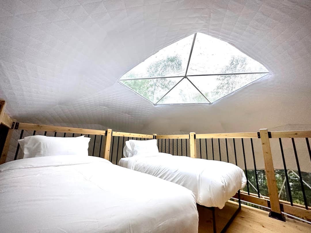 A maple dome